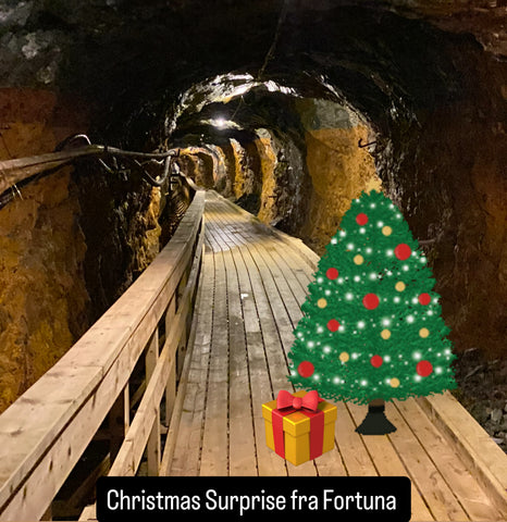 Christmas Surprise 2025