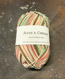 3008 Arne & Carlos