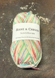 3007 Arne & Carlos
